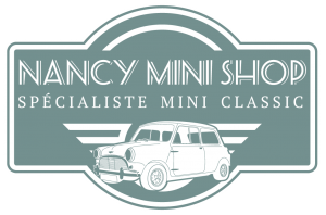 TLCS : Petite vis de guide de porte - Austin Mini - 1959 /69, pièces  détachées Austin Mini